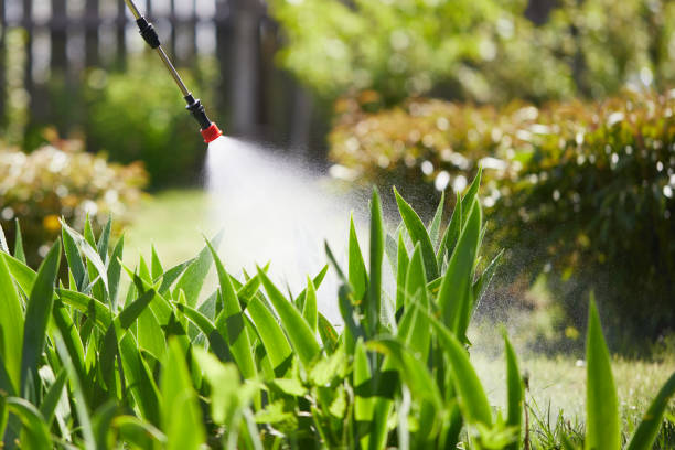 24/7 Emergency Termite Control experts in Unionville, MO